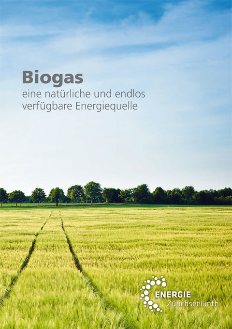 Biogas Prospekt Web